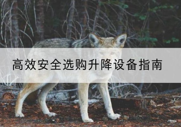 彭州升降货梯厂家推荐-*安全选购升降设备指南