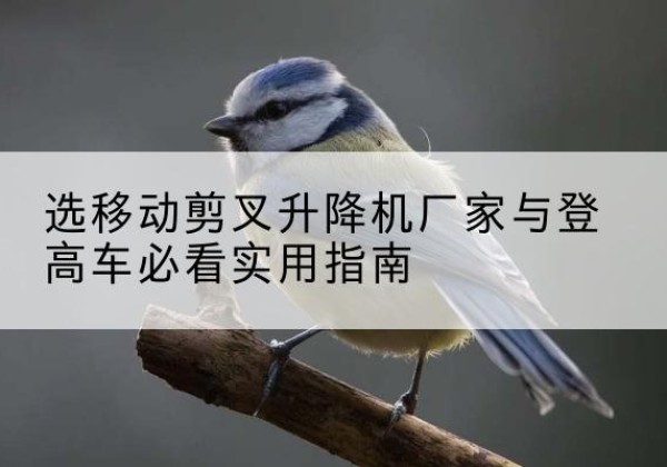 彭州电动升降机厂家-选移动剪叉升降机厂家与登高车必看实用指南