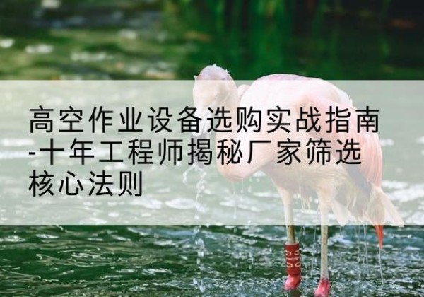 彭州剪叉式升降机厂家-高空作业设备选购实战指南-十年工程师揭秘厂家筛选核心法则